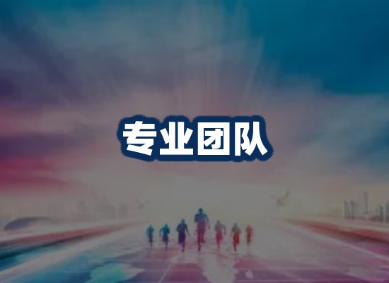 专业团队