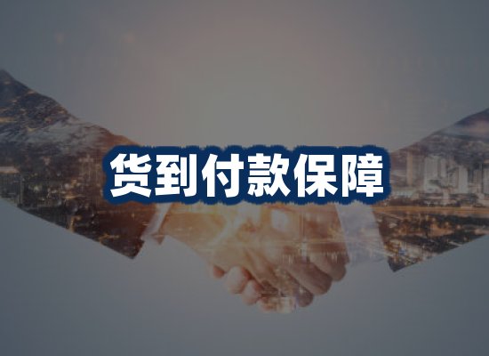 专业团队办公环境